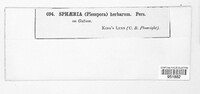 Image Associated With the Occurence